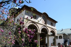 Kloster Cozia bei Calimanesti