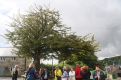 Widecombe in the Moore; Dartmoor Nationalpark